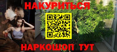 гидра Беслан