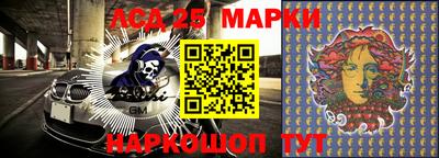 гидра Беслан