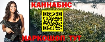 гидра Беслан