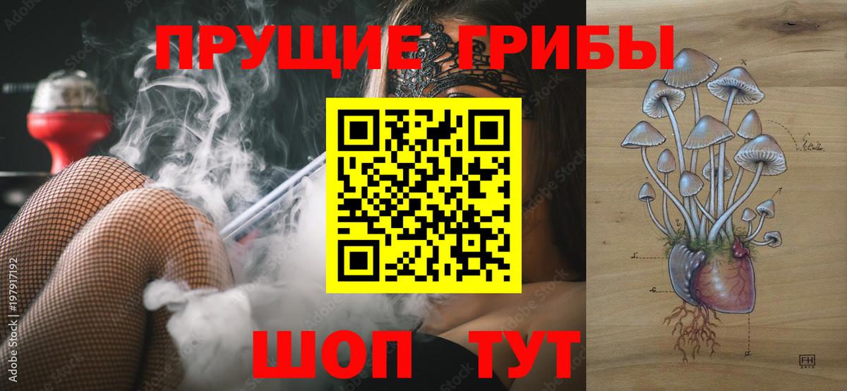 Галлюциногенные грибы Magic Shrooms Киселёвск